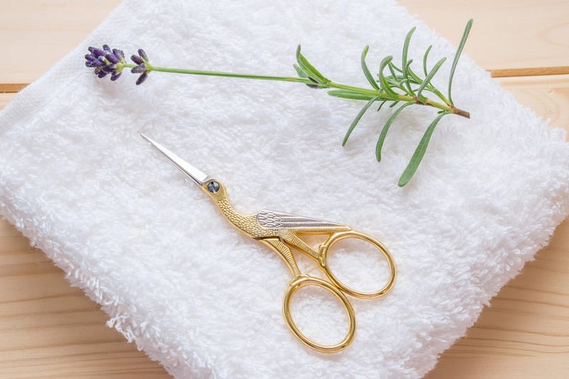 Pruning Shears